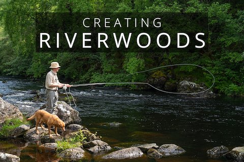 Creating Riverwoods