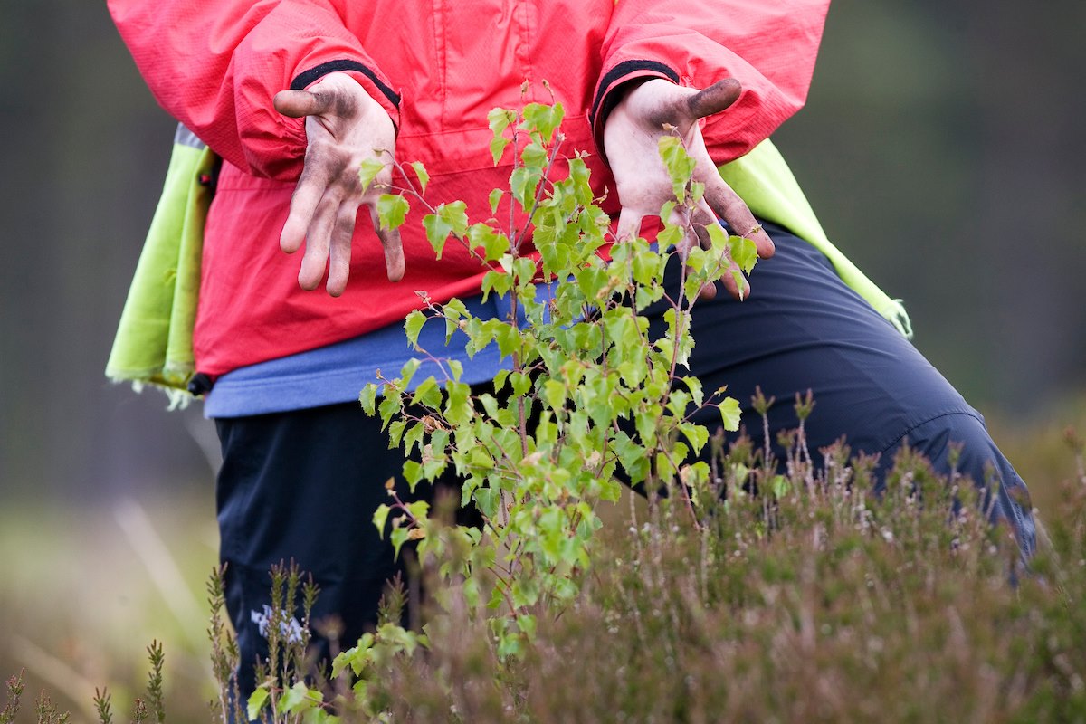 Tree planting volunteer showing off handywork, Scotland.