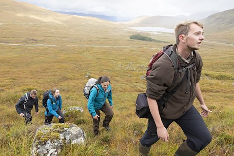 The Mountain Birch Project