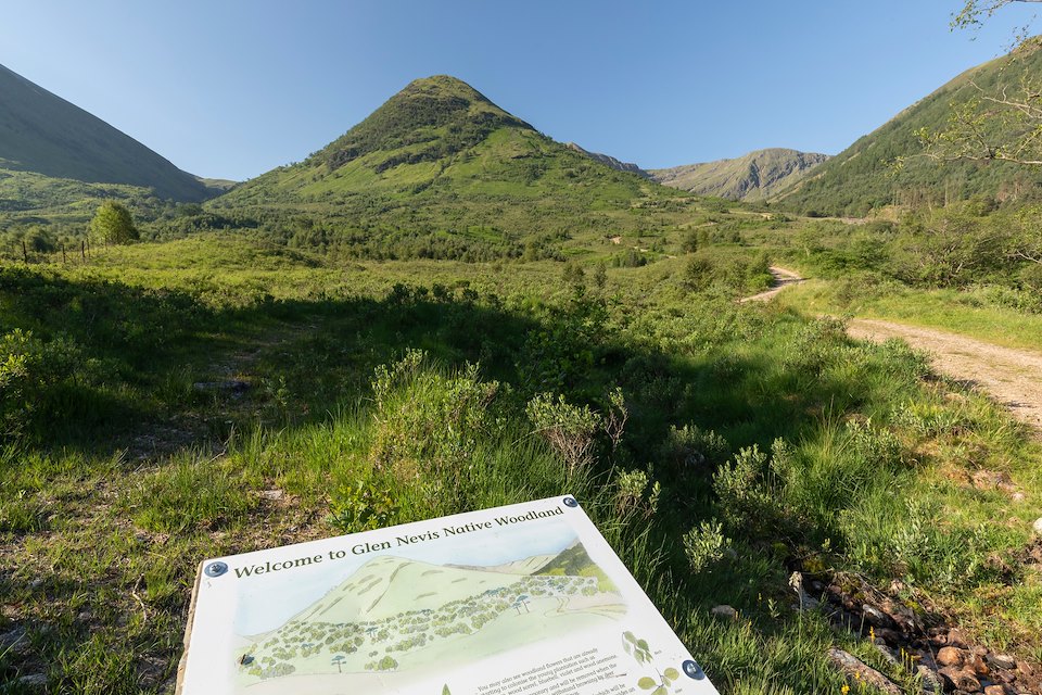 Interpretation board, Glen Nevis Woodland and Habitat Resoration Area, Glen Nevis, Lochaber, Scotland, June 2023